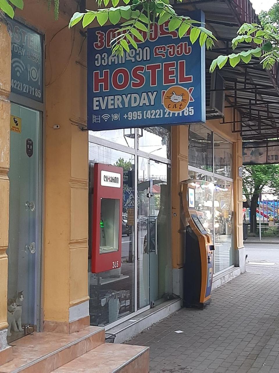 Everyday Cat Hostel Batumi Exteriör bild
