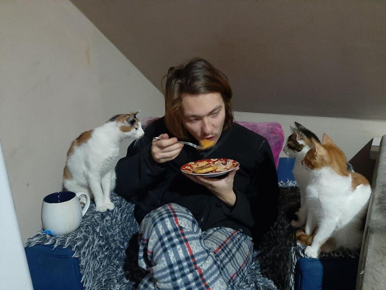 Everyday Cat Hostel Batumi Exteriör bild